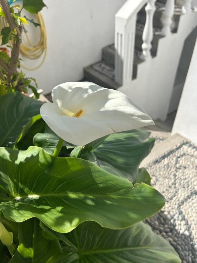 New Lindos Studio 45 Renovated Ngoại thất bức ảnh