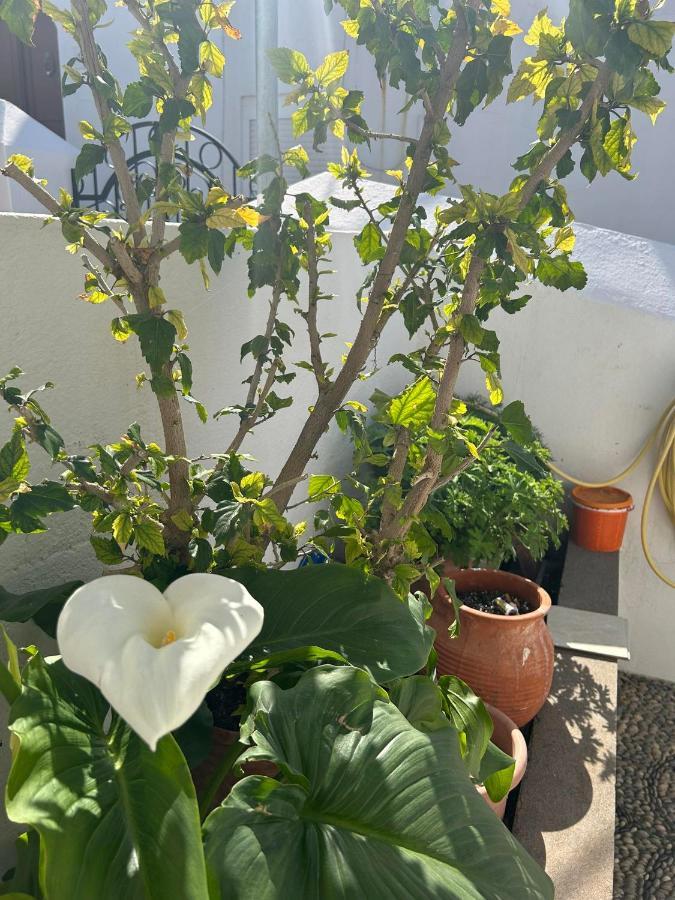 New Lindos Studio 45 Renovated Ngoại thất bức ảnh